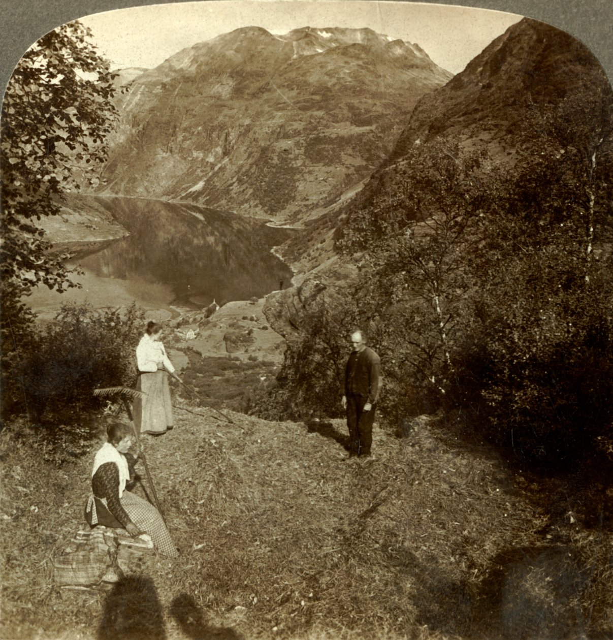 Seno na horském poli vysoko nad vesnicí Marok a zrcadlově čistým Geirangerfjordem, Norsko, c1905 od Unbekannt