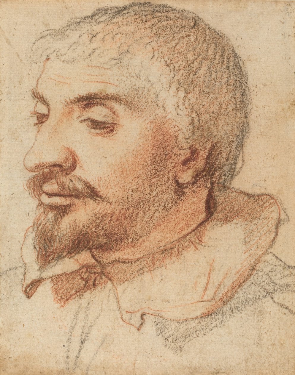 Hlava muže, c. 1600. od Unbekannt
