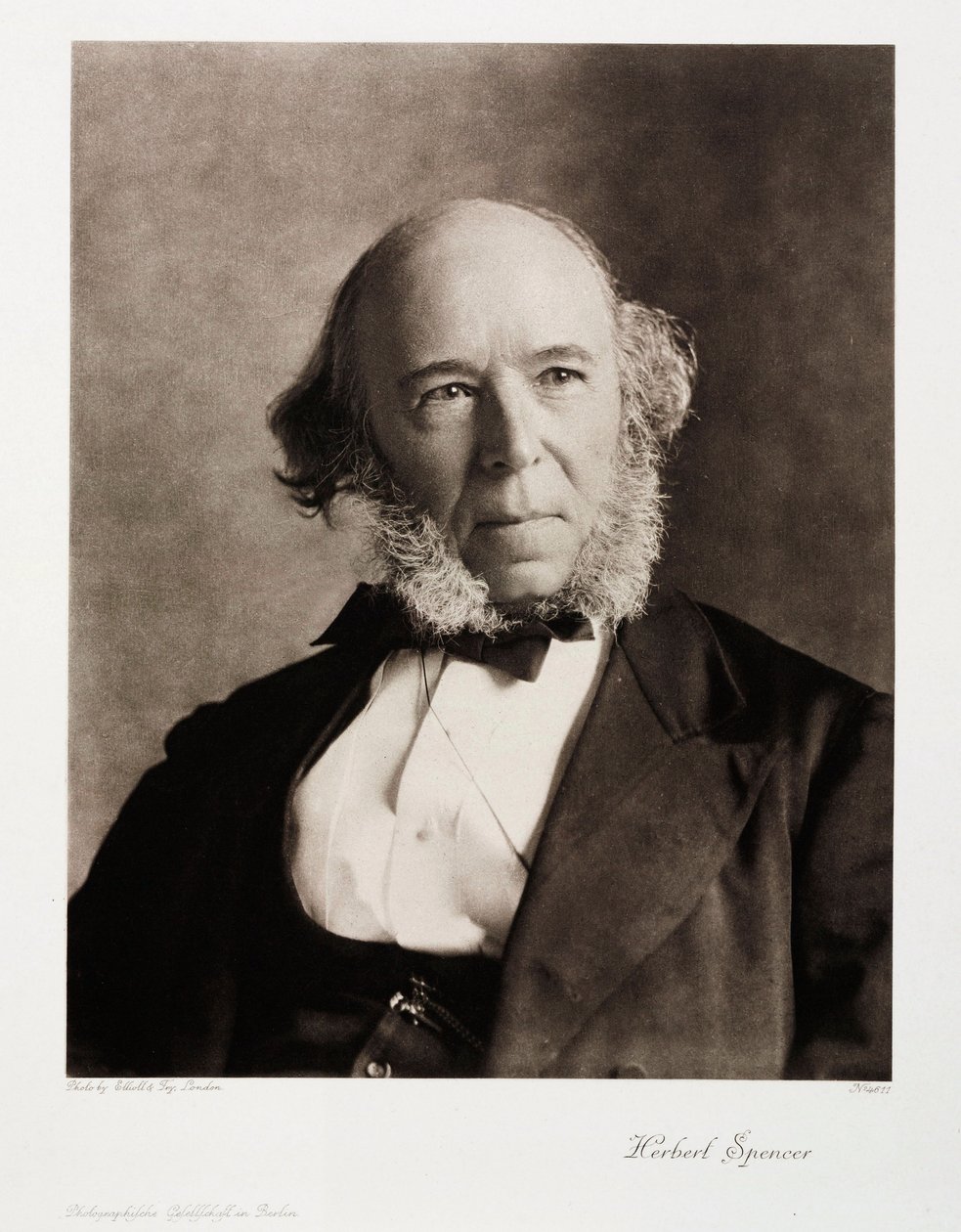 Herbert Spencer, anglický sociální filozof od Unbekannt