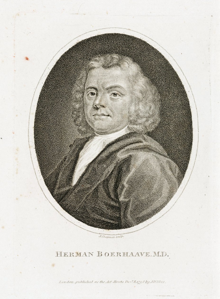 Herman Boerhaave , holandský lékař, chemik a botanik, počátek 18. století od Unbekannt