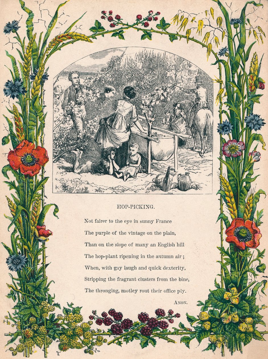 Hop-Picking, c1900 od Unbekannt