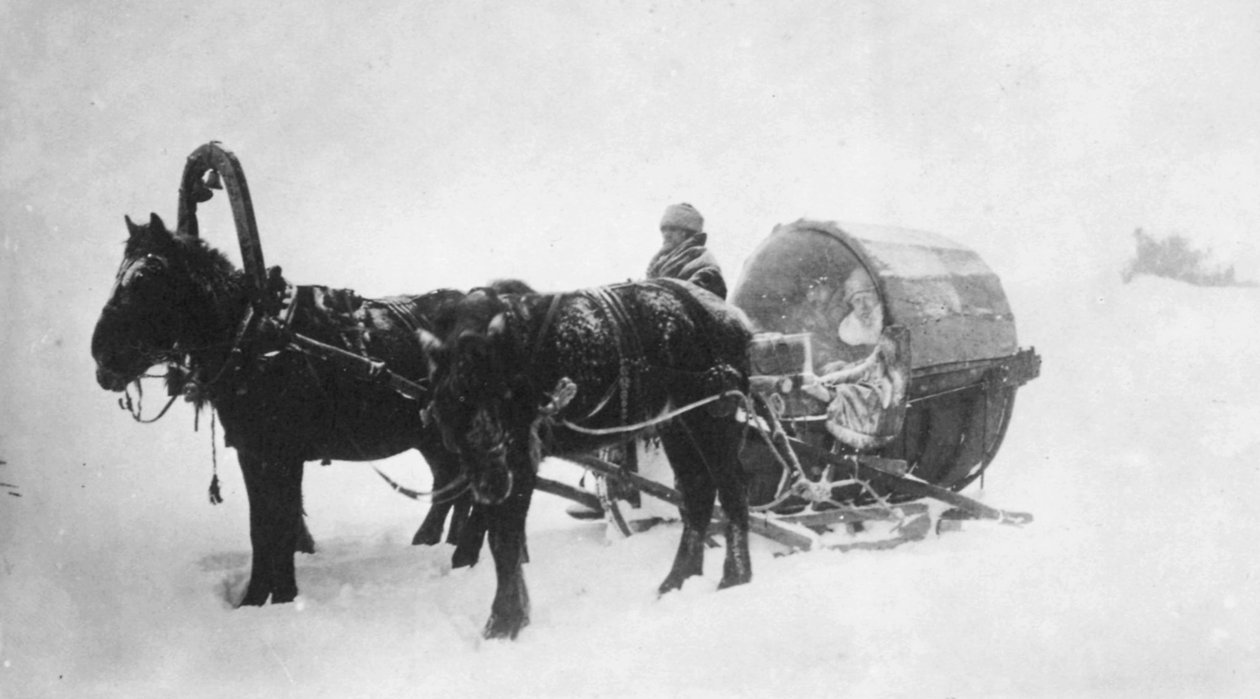Kibitka na saních tažených koňmi, Sibiř, Rusko, 90. léta 19. století od Unbekannt
