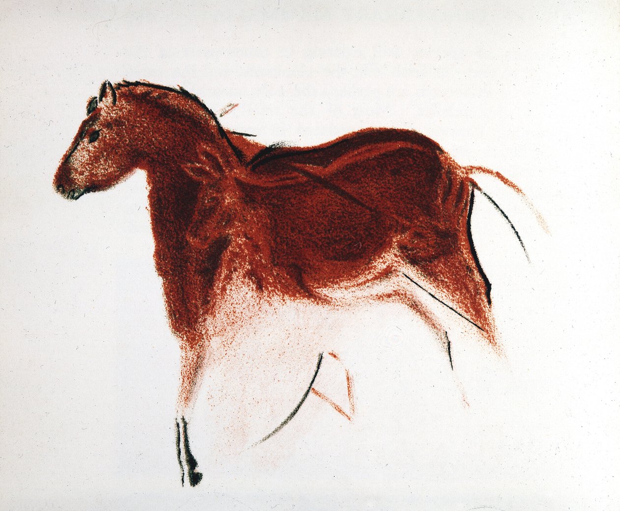 Kůň a hind, paleolitická jeskynní malba z Altamiry, jižní Španělsko, 16 000-9 000 př.nl od Unbekannt