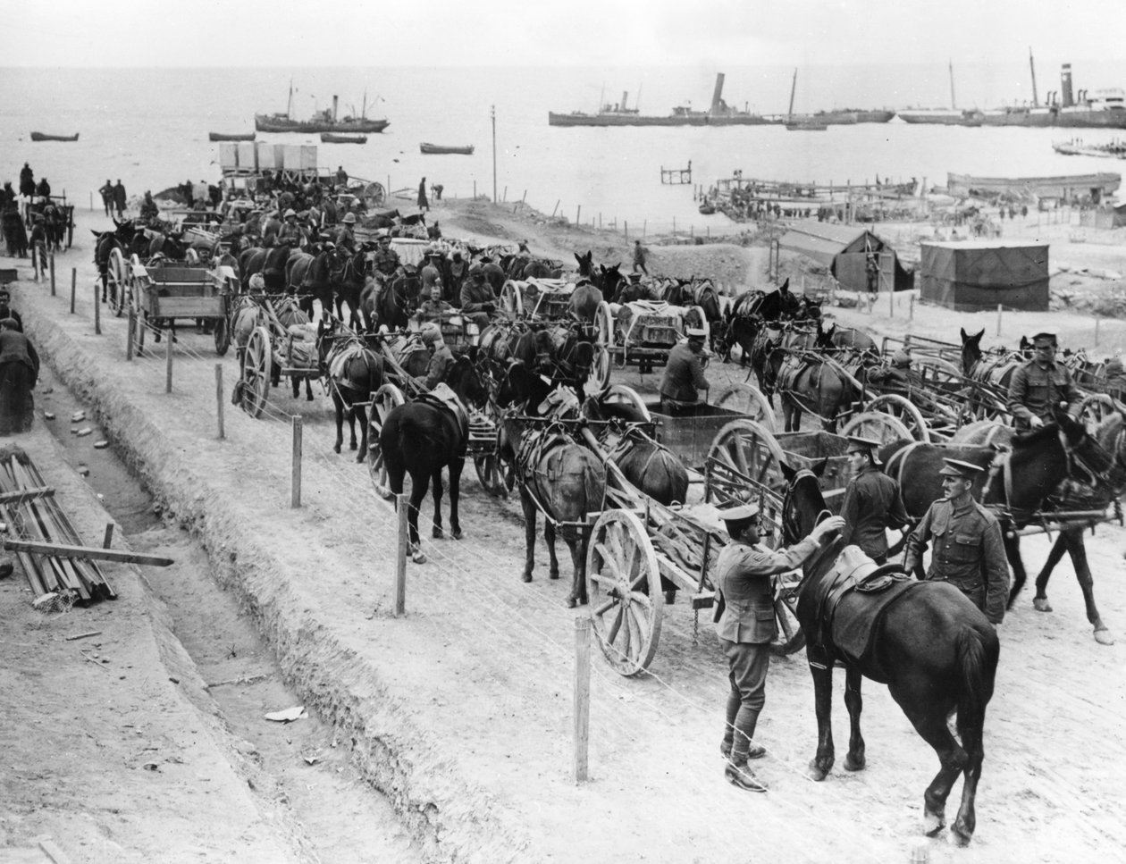 Přeprava tažená koňmi, spojenecké operace v Dardanelách, Turecko, 1915-1916 od Unbekannt