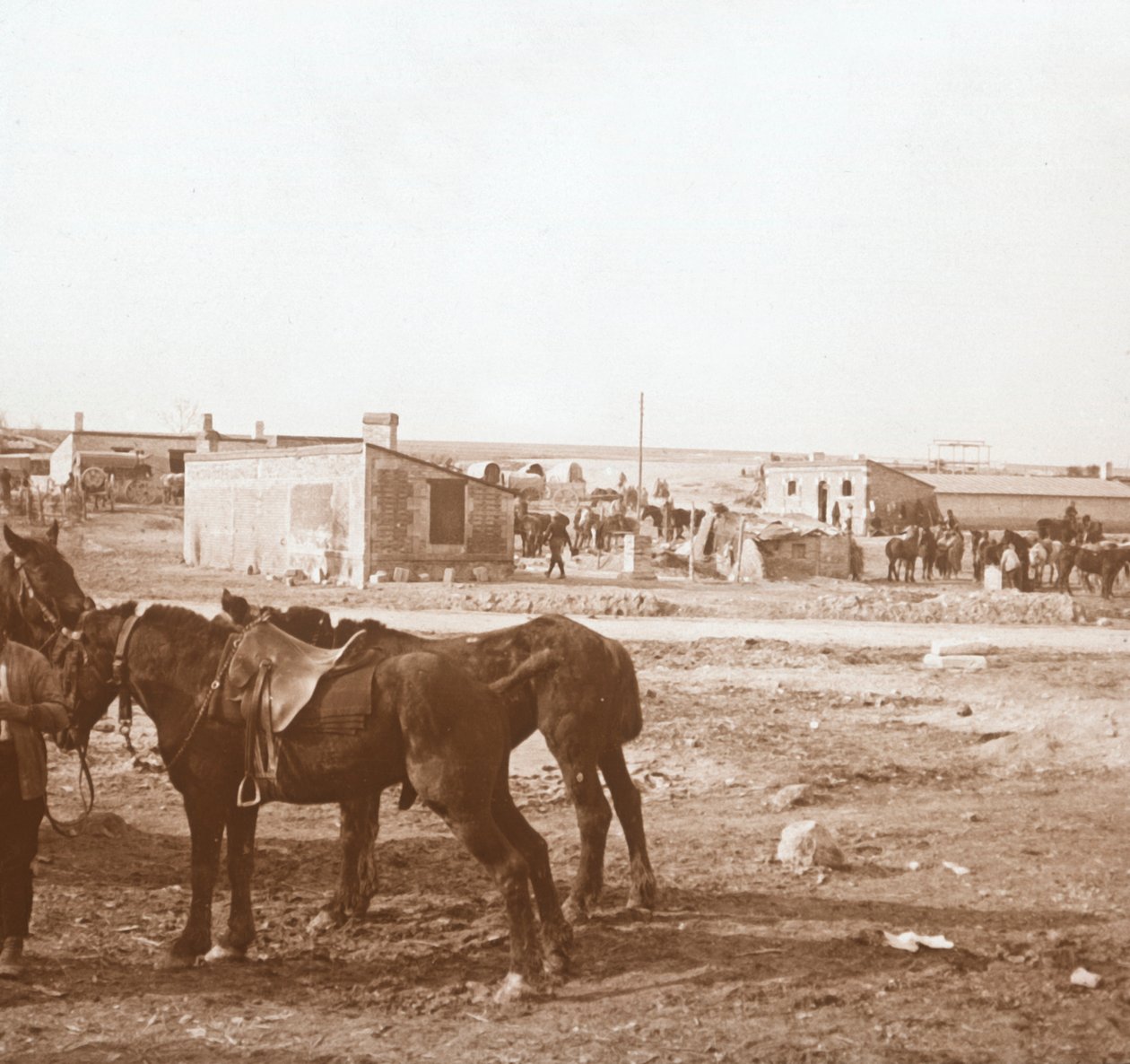 Koně, Somme-Tourbe, severní Francie, c1914-c1918 od Unbekannt