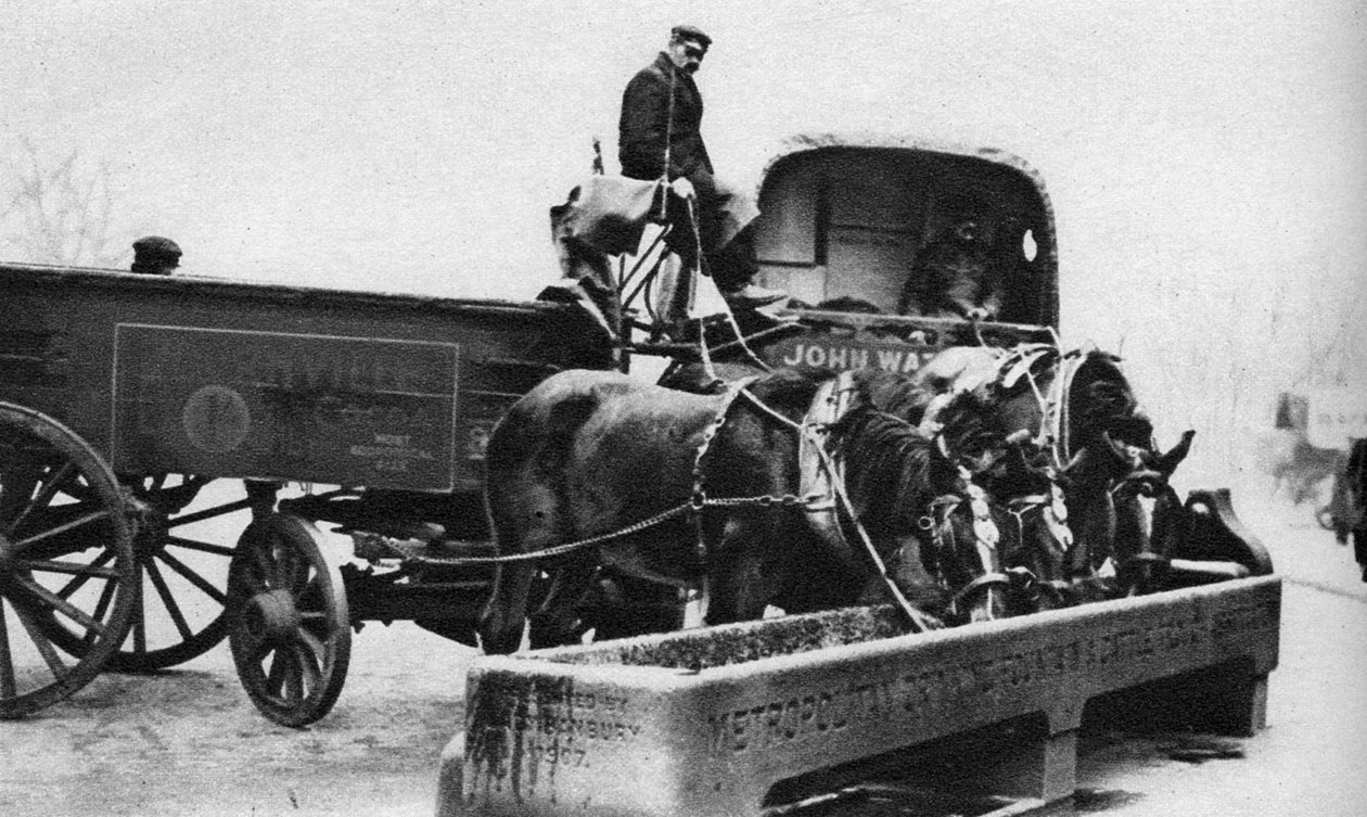 Koně pijící z dobytčího žlabu, Londýn, 1926-1927 od Unbekannt