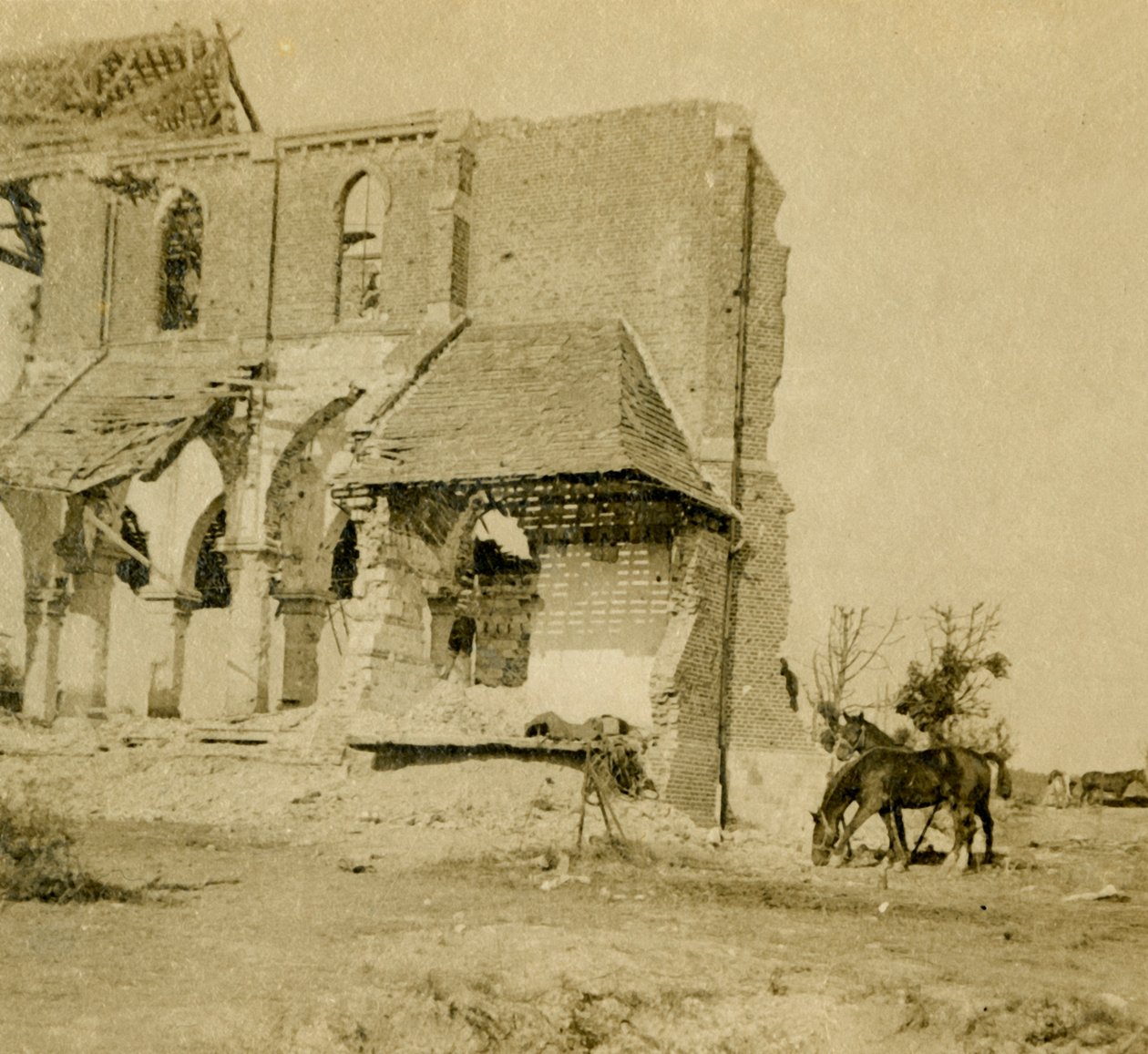 Koně pasoucí se poblíž zničeného kostela, Frise, severní Francie, c1914-c1918 od Unbekannt
