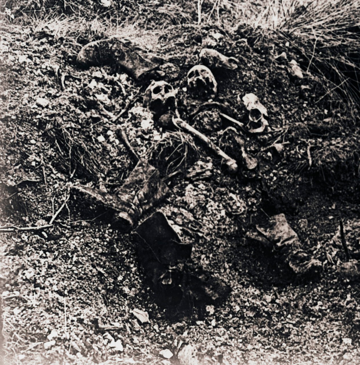 Lidské pozůstatky, c1914-c1918 od Unbekannt