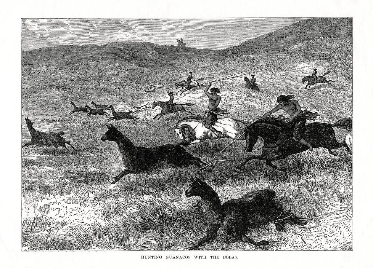 Lov na Guanacos s Bolas, Jižní Amerika, 1877 od Unbekannt