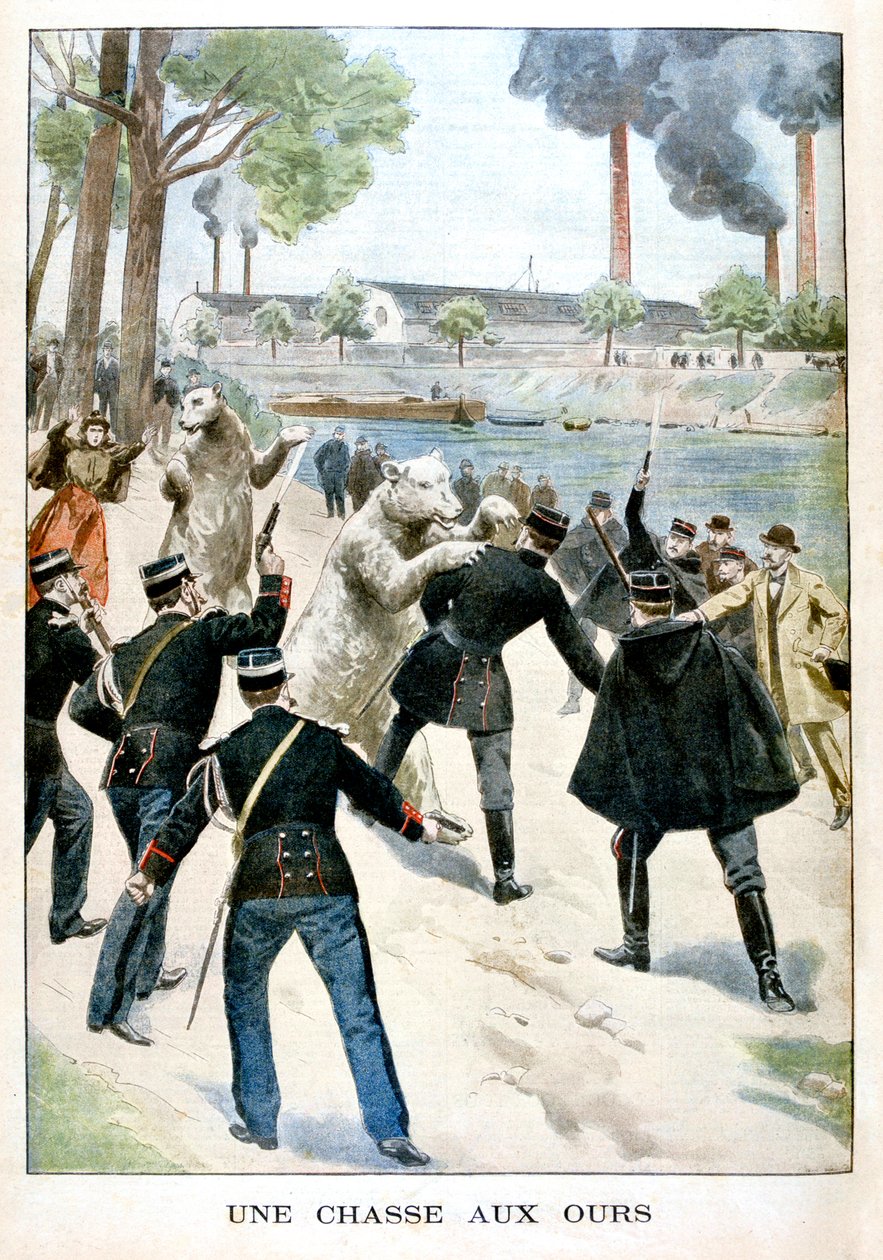 Lov na medvědy, 1901 od Unbekannt