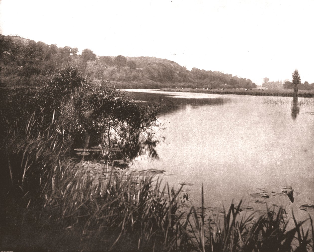 Hurley Reach, řeka Temže mezi Bisham a Medmenham, Buckinghamshire, 1894. od Unbekannt