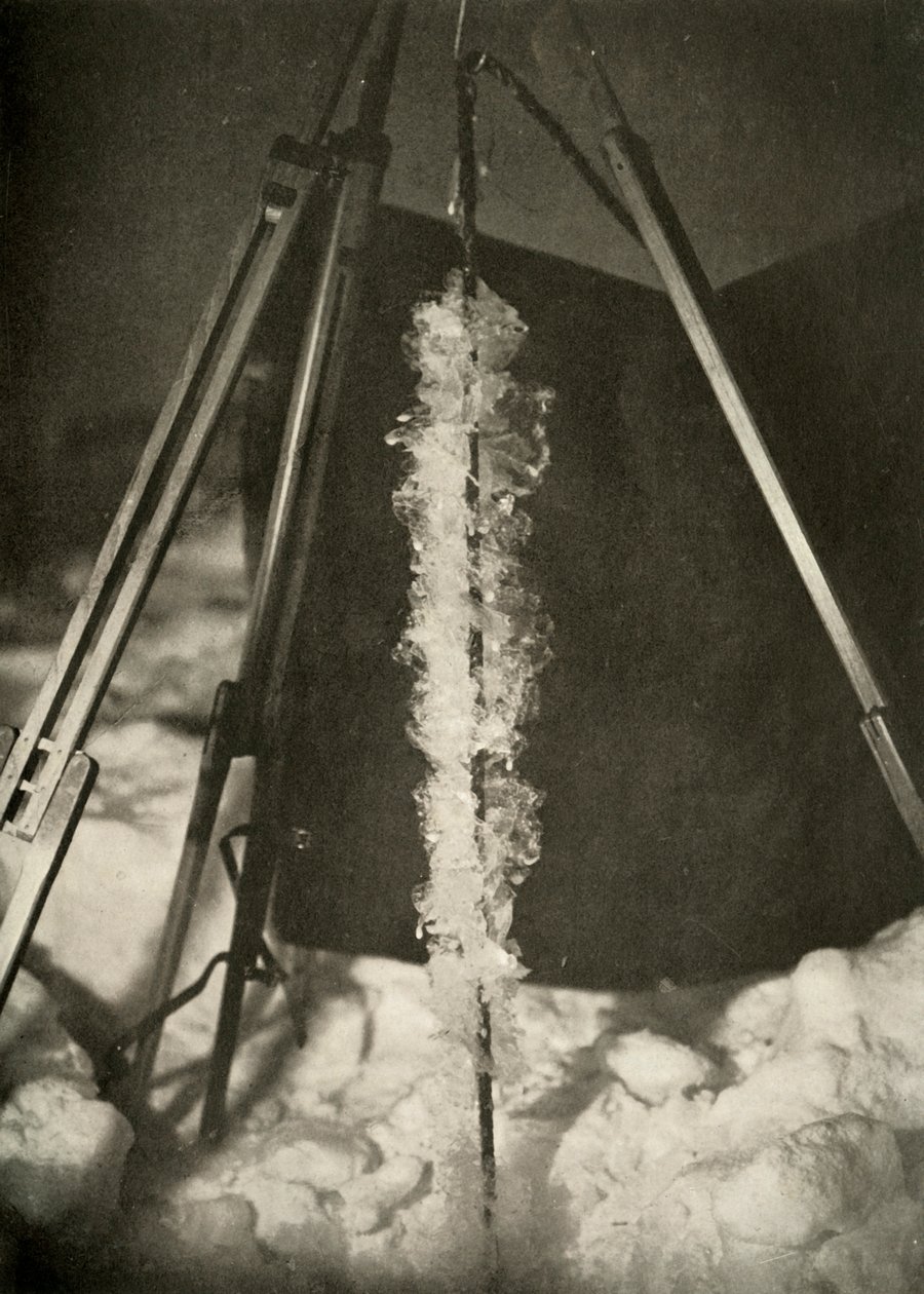 Ledové krystaly vytvořené na linii pasti na ryby, c1908, 1909 od Unbekannt