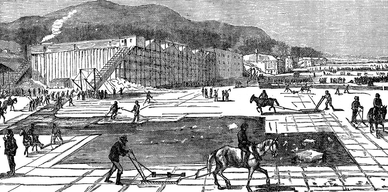 Sbírání ledu na řece Hudson poblíž New Yorku, USA, 1875 od Unbekannt