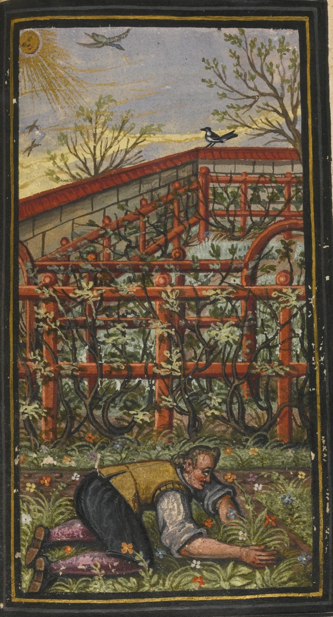 Ilustrace k nádhernému letnímu času věčného života von Jacob Zader, 1603 od Unbekannt