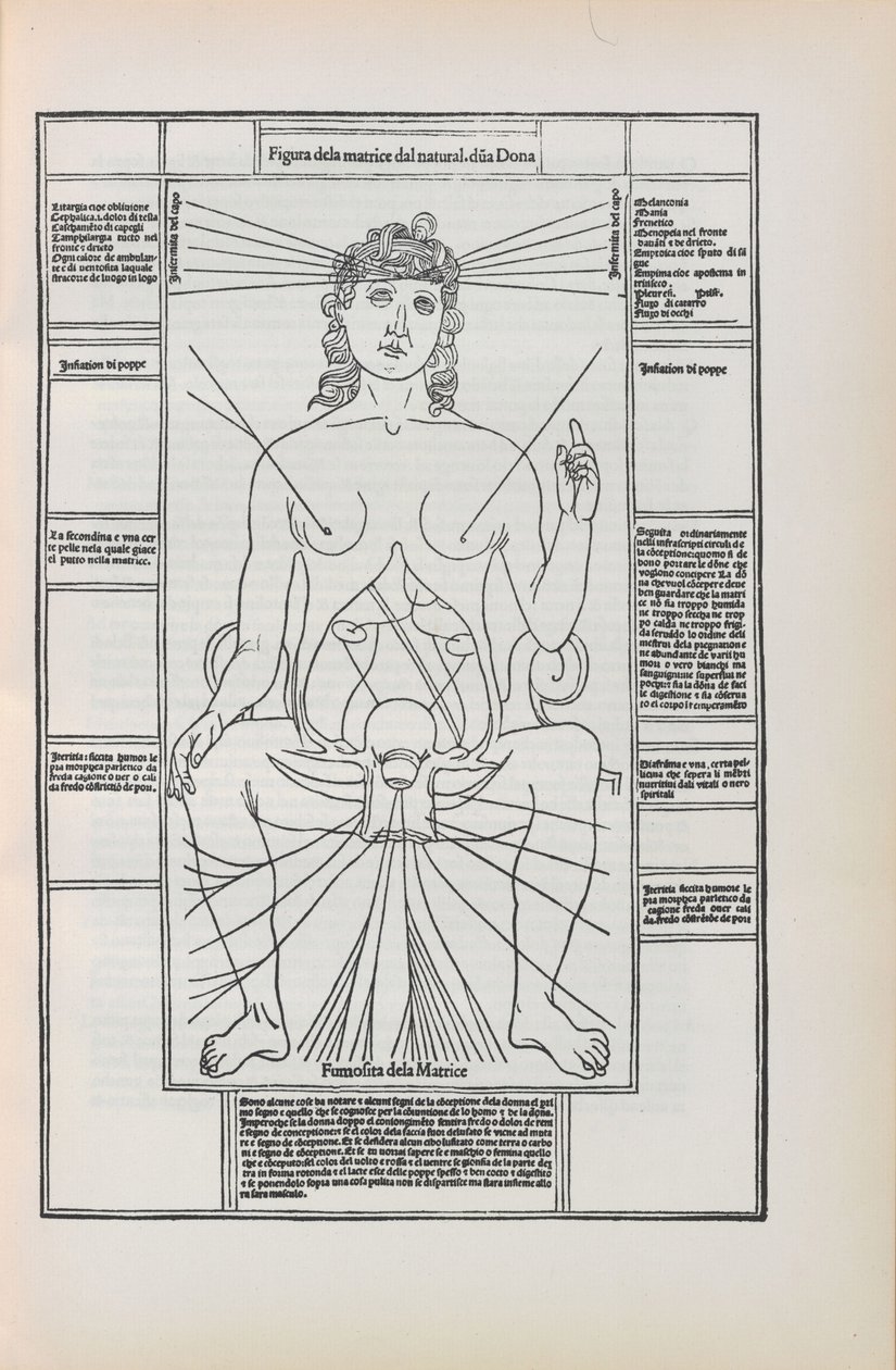 Ilustrace z Fasciculo di medicina od Johannese de Ketham, 1493. od Unbekannt