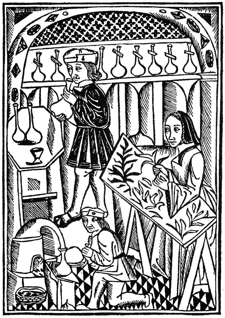 Ilustrace z Le Proprietaire des Choses, 1500 1964 od Unbekannt