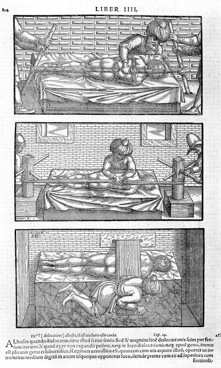 Ilustrace z Avicenna, 1556 od Unbekannt
