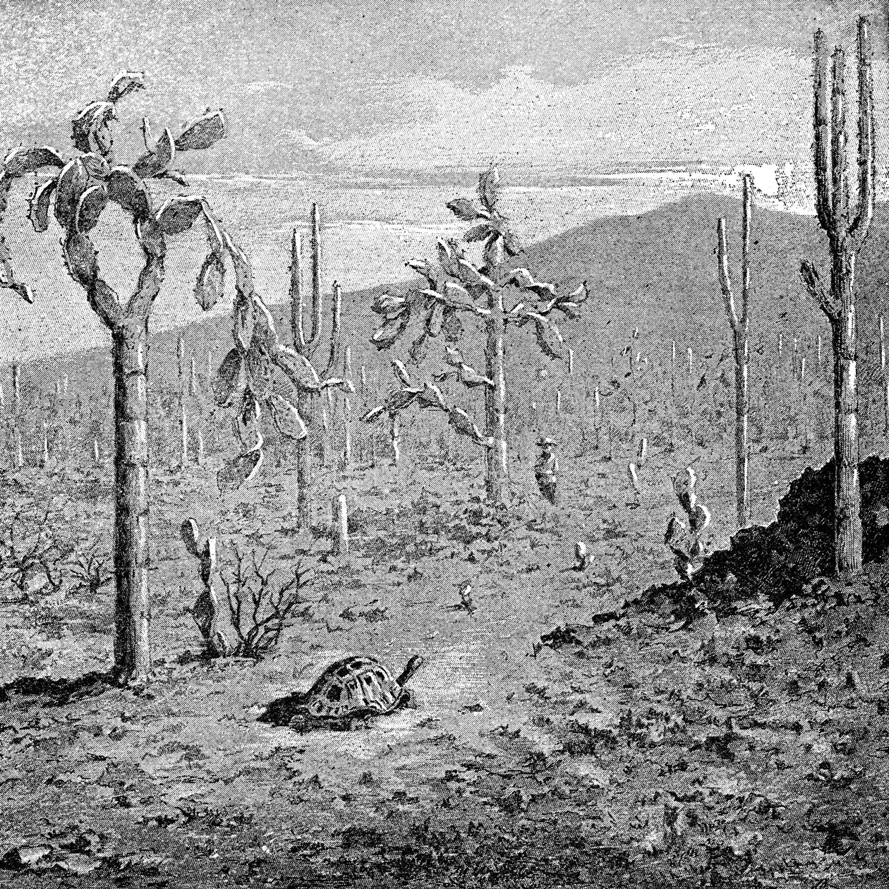 Neúnavný ostrov, souostroví Galapágy, 1895 od Unbekannt