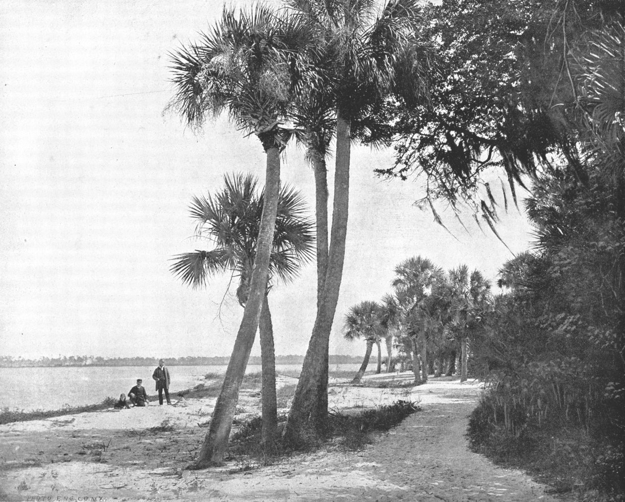 Indian River, Florida, USA, c1900. od Unbekannt