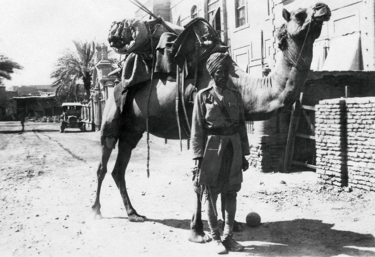 Indický velbloudí voják, Bagdád, 1918 od Unbekannt