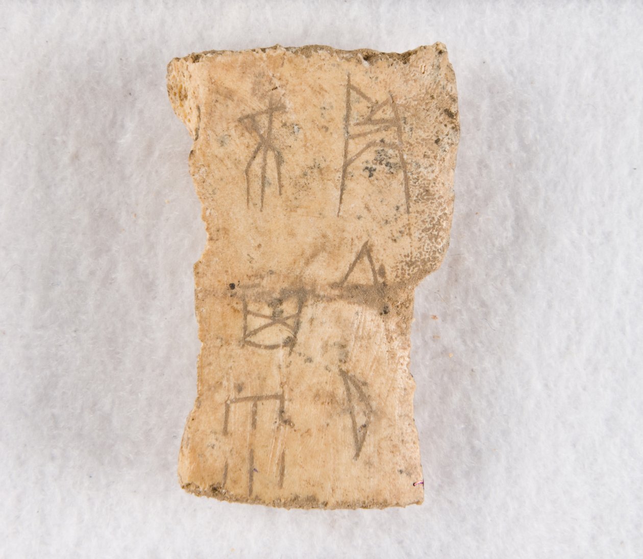 Vepsaný fragment kosti věštecká kost, pozdní dynastie Shang, ca. 1300-1050 př.nl. od Unbekannt