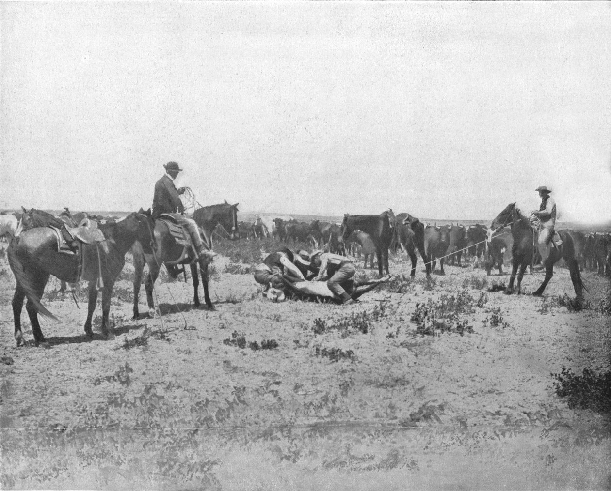 Inspekce značky na Prairies, USA, c1900. od Unbekannt