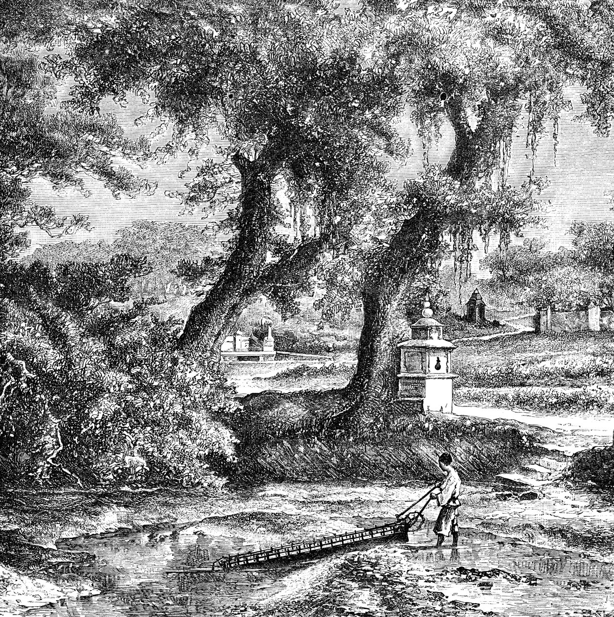 Zavlažovací čerpadlo, Jižní Čína, c1890 od Unbekannt