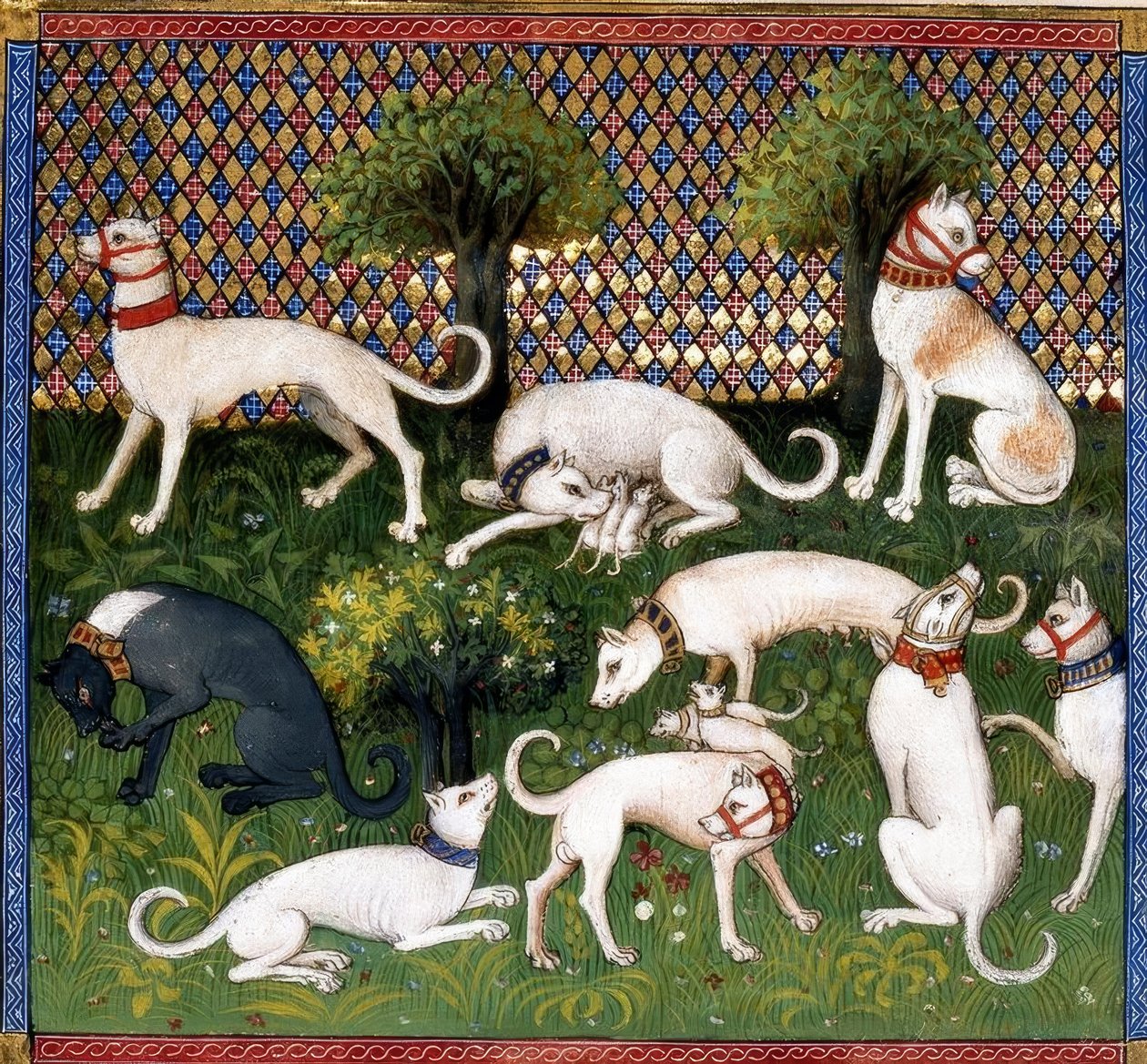 Jagdhunde (Alan) / Kniha lovu od Unbekannt