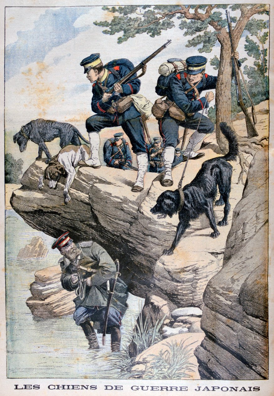 Japonští vojáci se psy najdou skrývajícího se Rusa, rusko-japonská válka, 1904 od Unbekannt