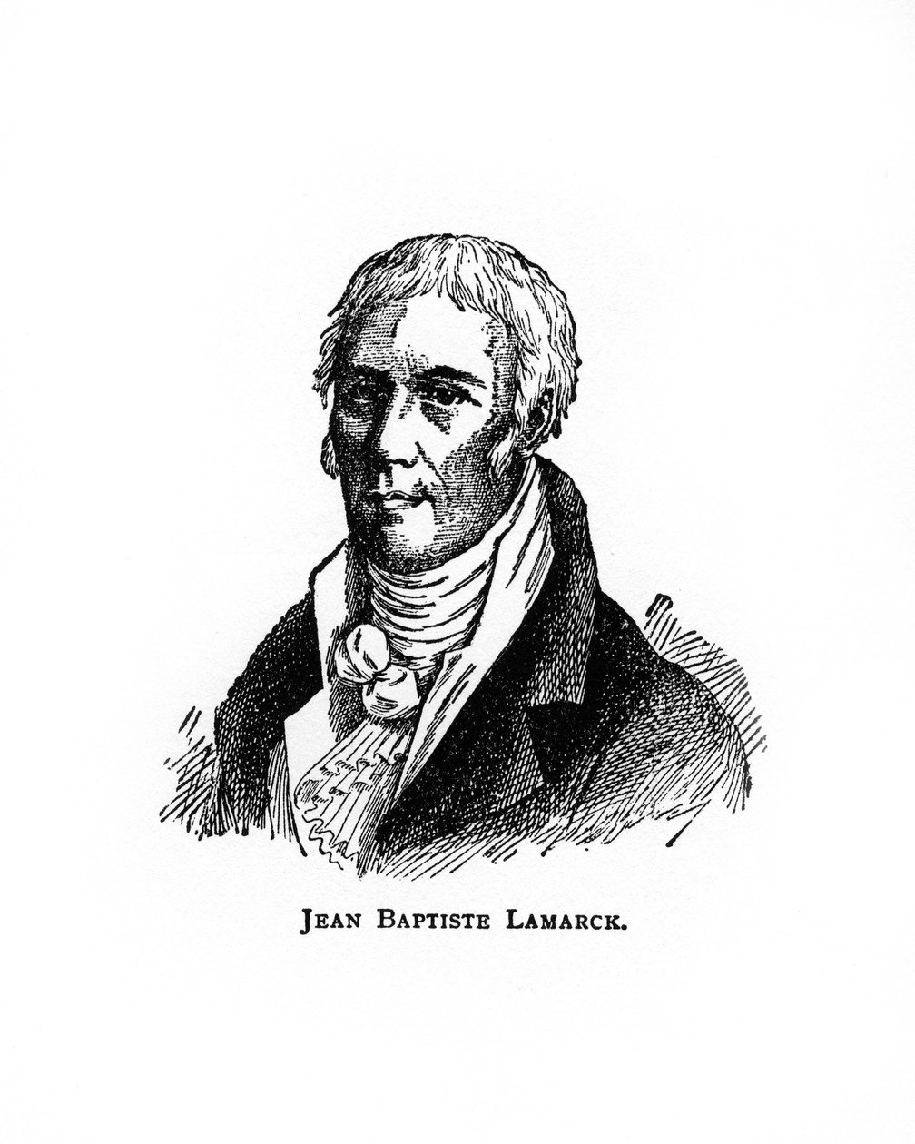 Jean-Baptiste Lamarck, francouzský přírodovědec, 20. století od Unbekannt