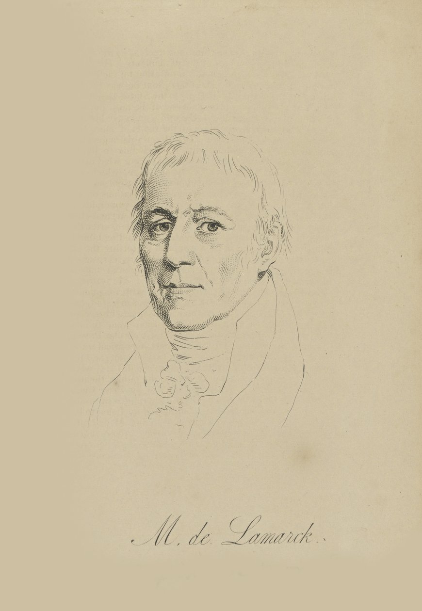 Jean-Baptiste Pierre Antoine de Monet, Chevalier de Lamarck 1744-1829, c. 1810. od Unbekannt