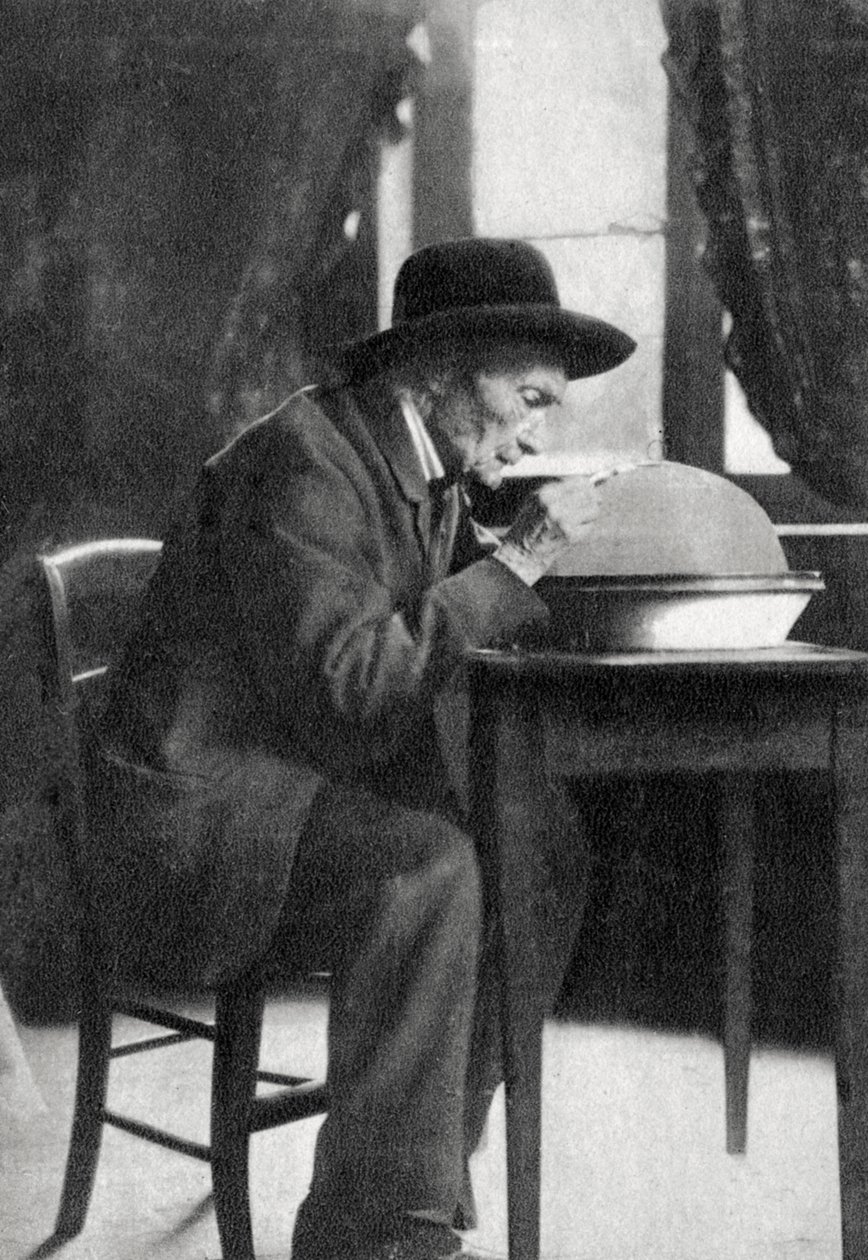 Jean Henri Fabre, francouzský entomolog, 1880 od Unbekannt