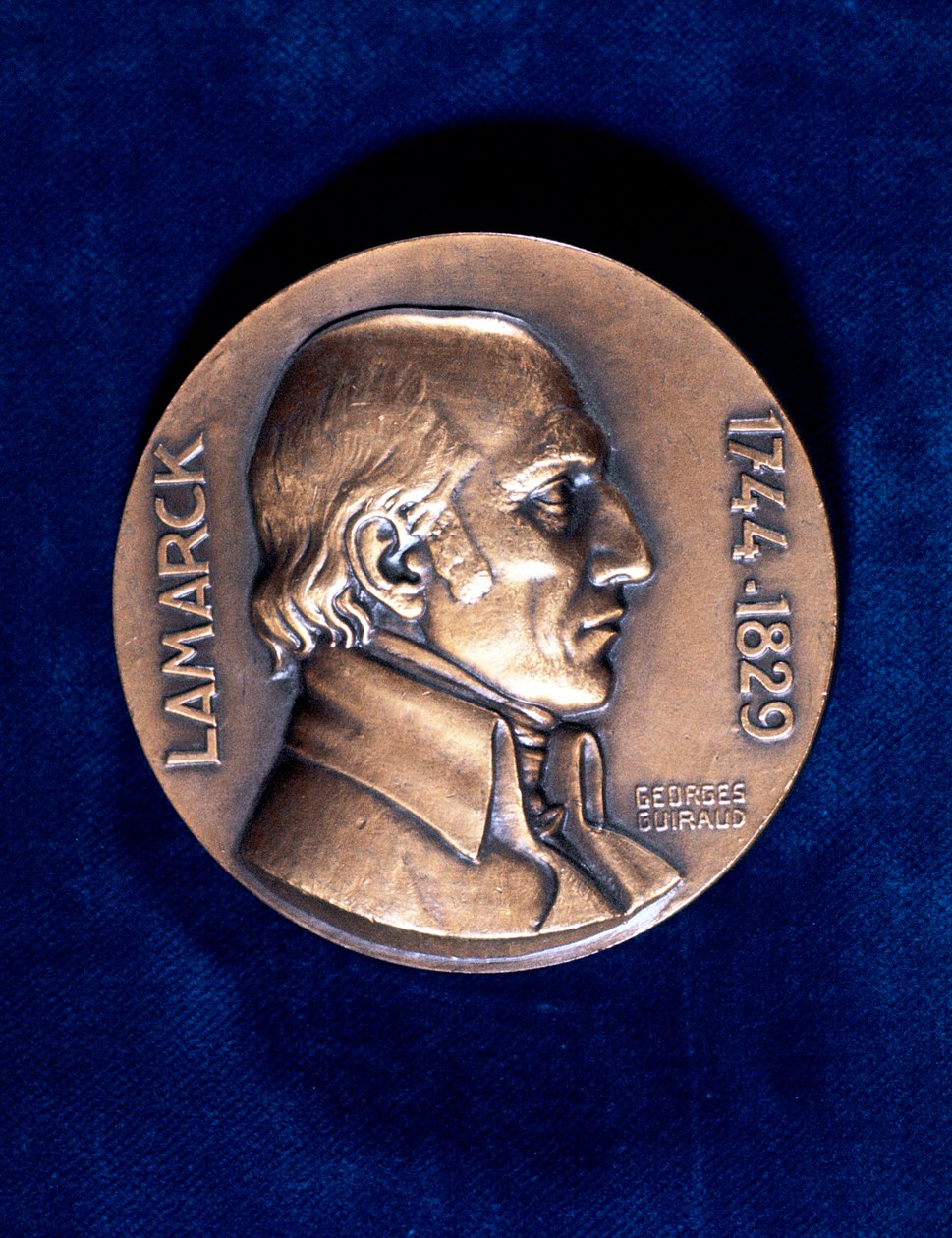 Jean Lamarck , francouzský přírodovědec od Unbekannt