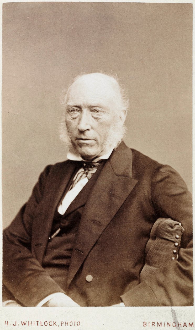 John Phillips, anglický geolog, c 1870 od Unbekannt