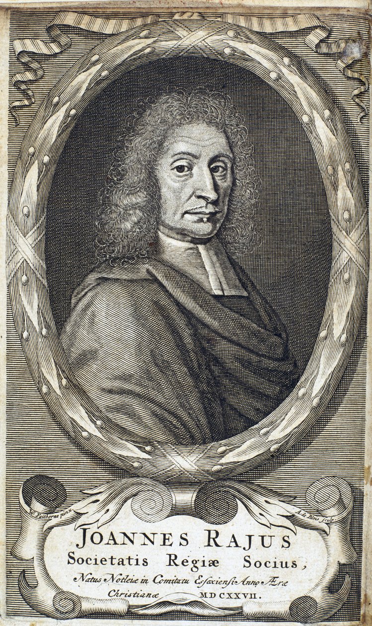 John Ray (Wray), anglický přírodovědec, c 1700 od Unbekannt
