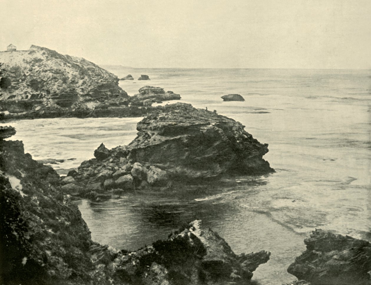 Jubilee Point, Back Beach, Sorrento, 1901. od Unbekannt