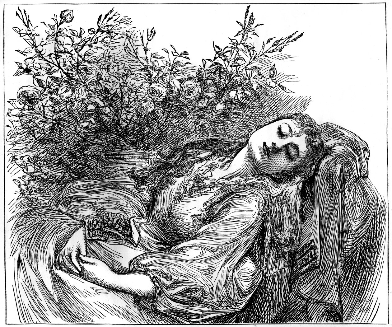 Julie, 1882 od Unbekannt