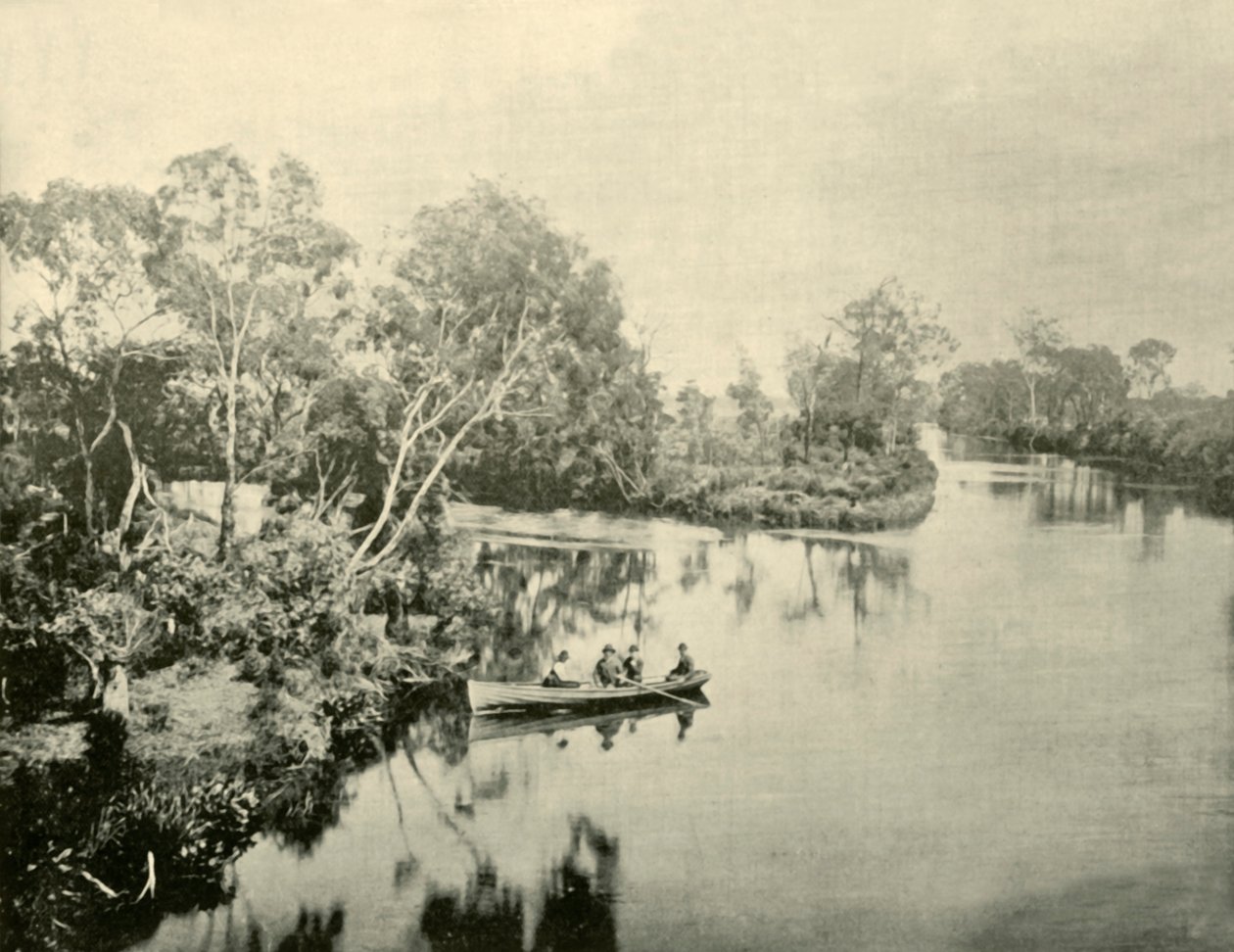 Junction of the Glengarry & Thompson Rivers, Victoria, 1901. od Unbekannt