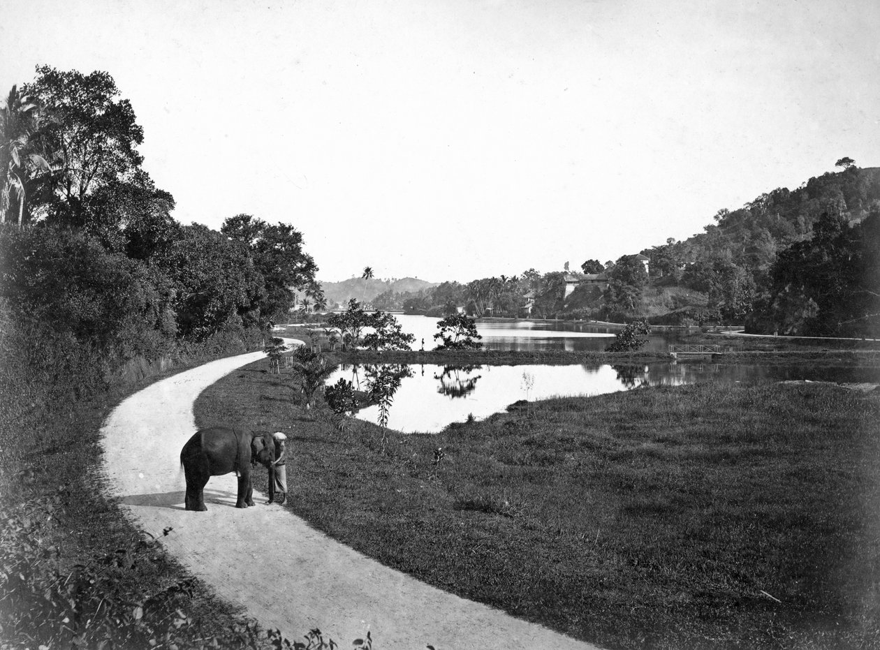 Kandy Lake, Kandy, Srí Lanka, c1910 od Unbekannt