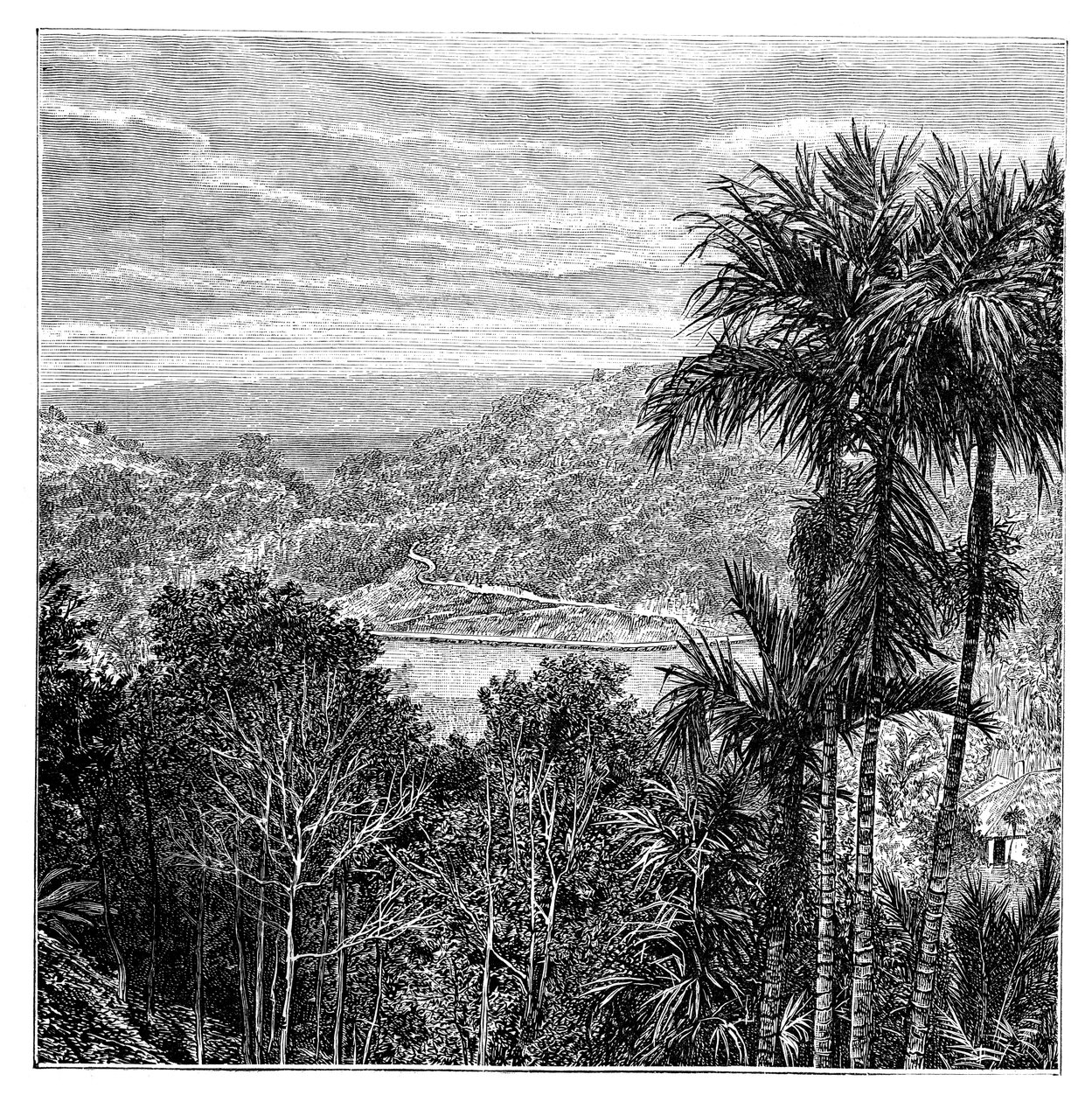 Kandi Maha Nuwara, Srí Lanka, 1895 od Unbekannt