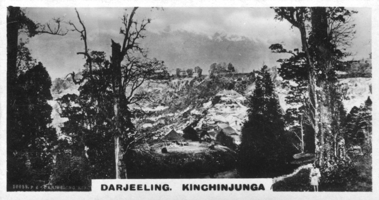 Kinchinjunga z Beechwood, Darjeeling, Indie, c1925 od Unbekannt