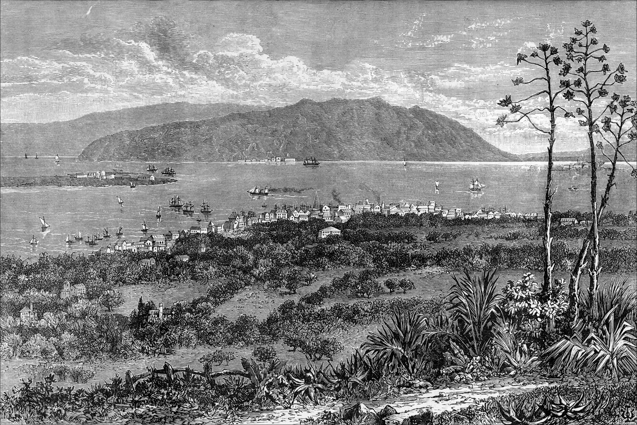 Kingston Harbour, Jamajka, c1880 od Unbekannt