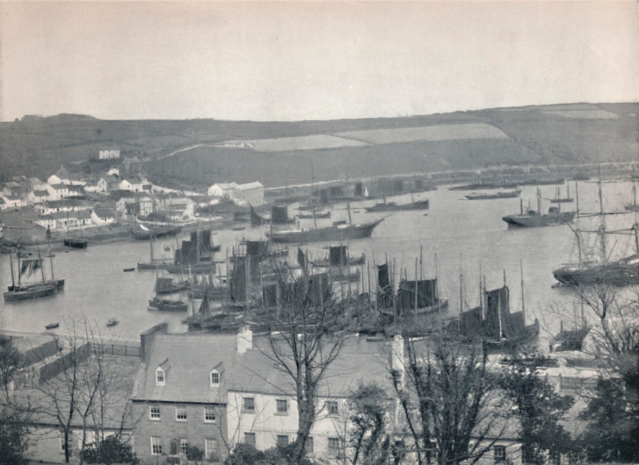 Kinsale - Rybářská flotila v přístavu, 1895 od Unbekannt