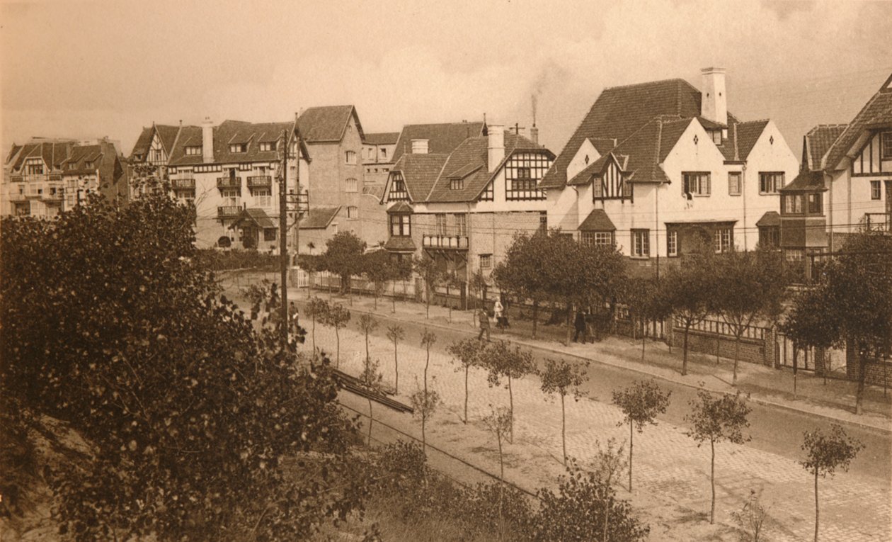 Avenue Elisabeth, C1900. od Unbekannt