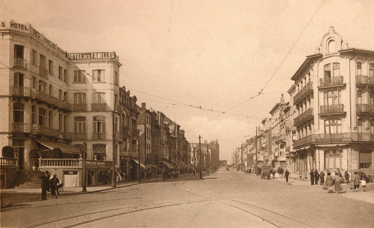 Avenue Lippens, c1900. od Unbekannt