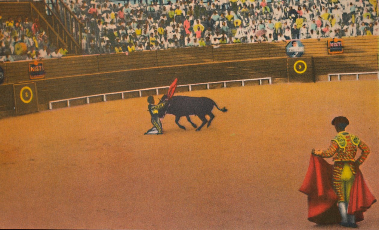 Magdalena Bull Ring, Barranquilla, c1940 od Unbekannt