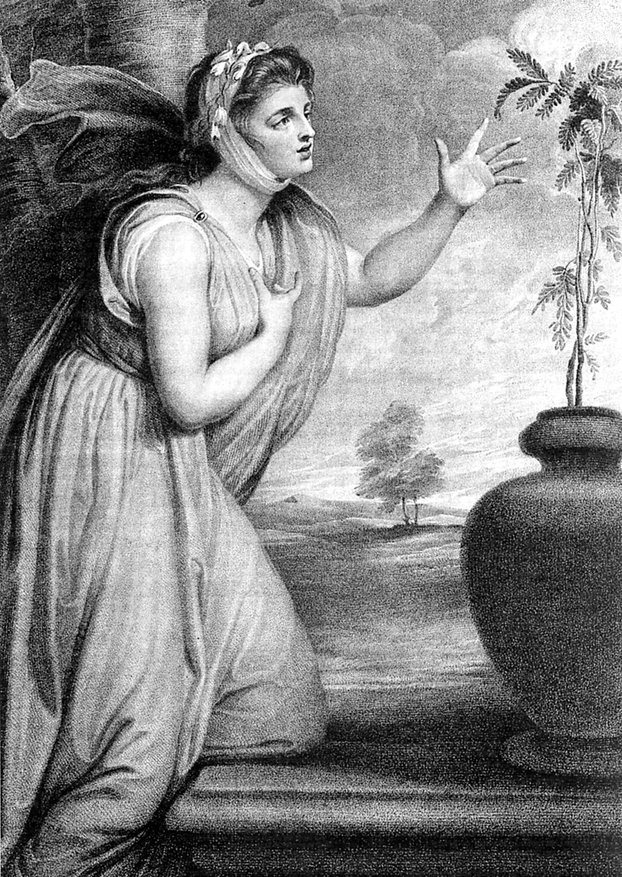 Lady Emma Hamilton, manželka sira Williama Hamiltona a milenka Horatio Nelson od Unbekannt