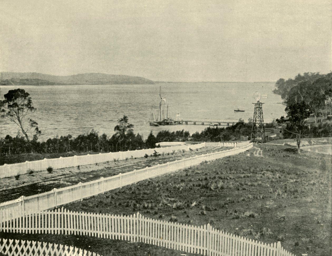 Lake Macquarie, z Toronta, 1901. od Unbekannt