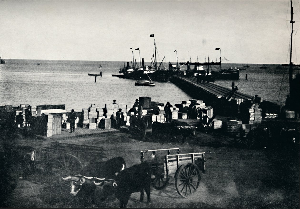 Místo přistání, Punta Arenas, 1911 od Unbekannt