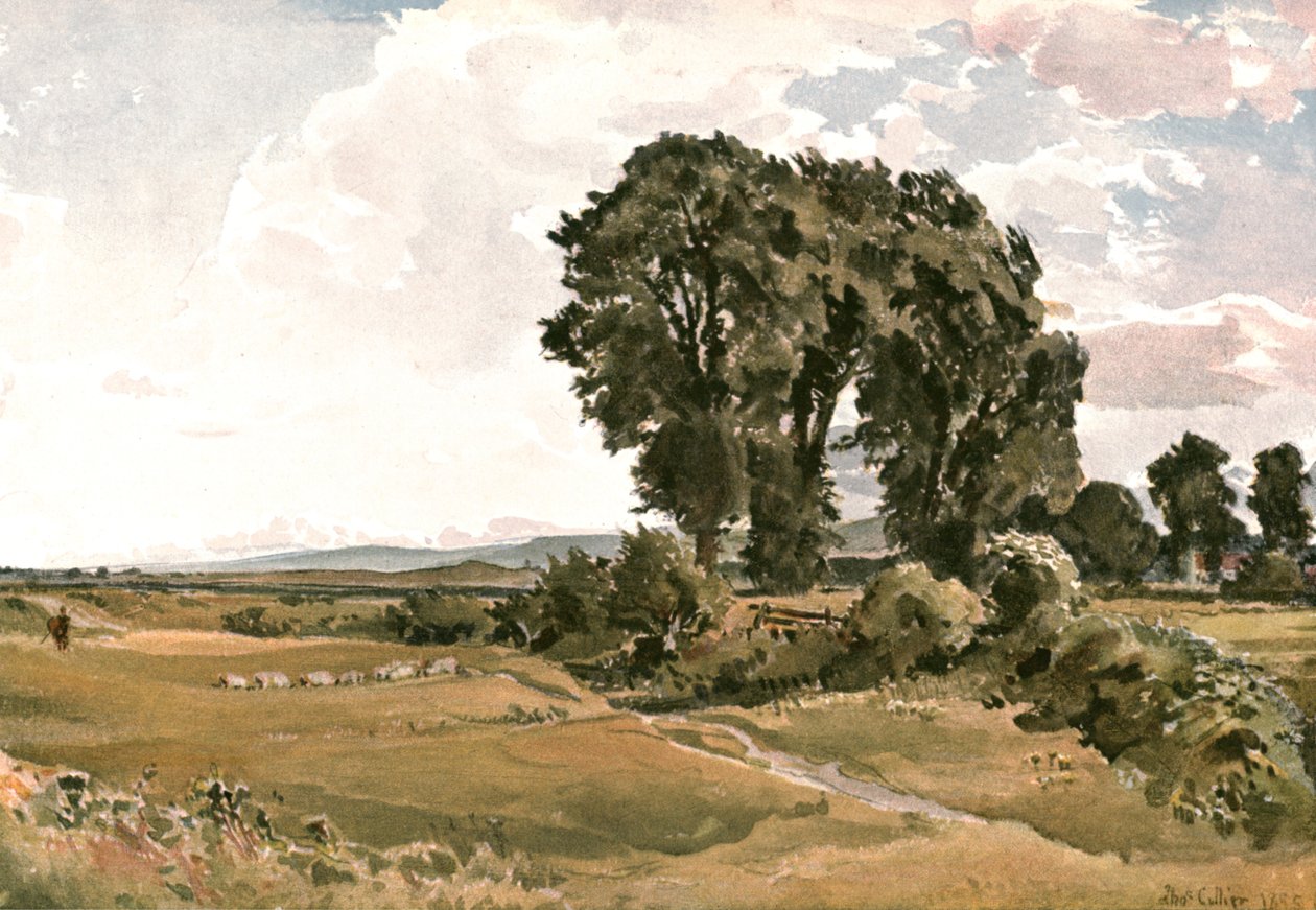 Krajina, poblíž Wareham, Dorset - venkovní skica, c1900. od Unbekannt